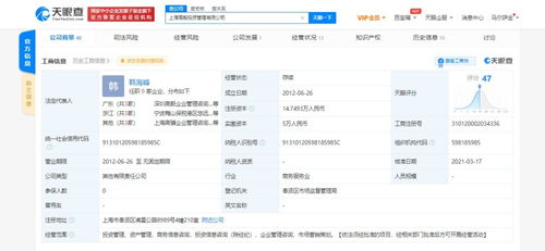 商务信息咨询的价值与落地路径解析